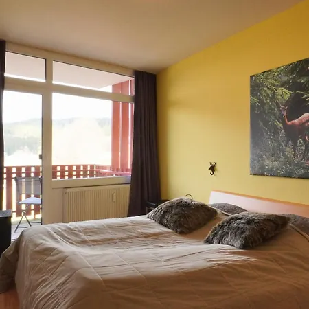 Rothirsch Schluchsee