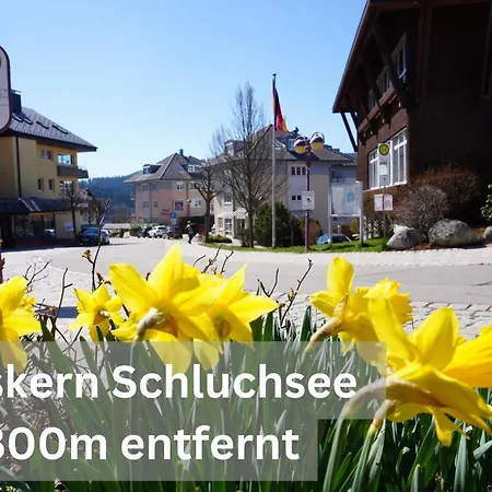 Rothirsch Schluchsee