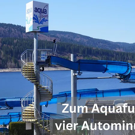 Rothirsch * Schluchsee